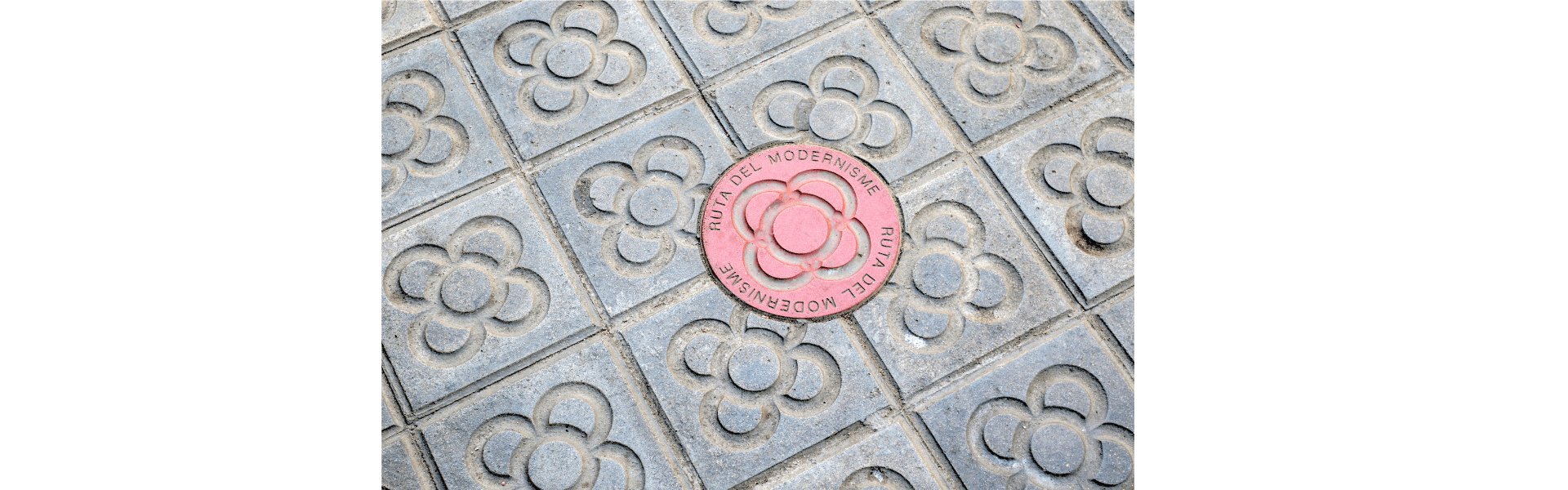 La Historia de la Flor de Barcelona